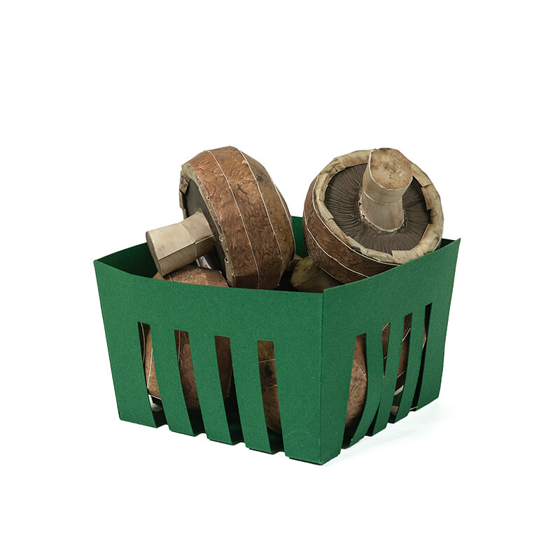 mushroom_carton_web.jpg