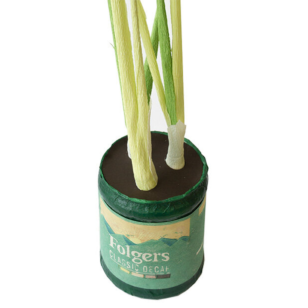 Decaf Folder Onion close up.jpg